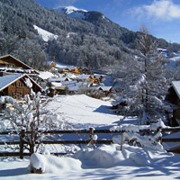 Guesthouse Chalet Berkana, winter - picture 1